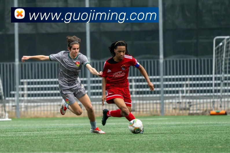 App Interface Preview