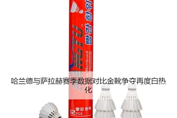 哈兰德与萨拉赫赛季数据对比金靴争夺再度白热化