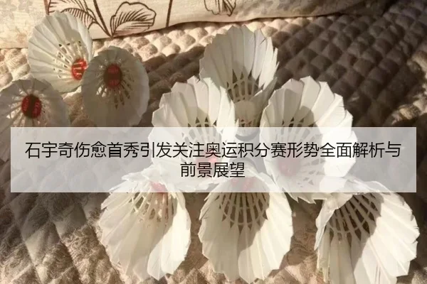 石宇奇伤愈首秀引发关注奥运积分赛形势全面解析与前景展望